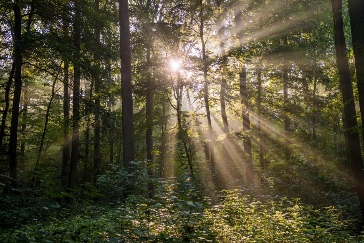 Ferienwohnungen Vulkaneifel Никкених Экстерьер фото